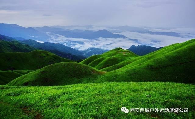 感觉有些感冒药好贵啊,国内性价比最高的感冒药是什么吗?-专业问答类网站